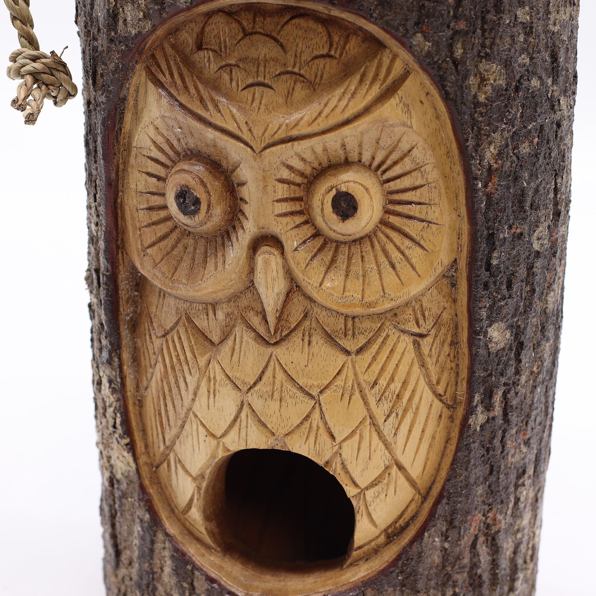 Tree Trunk Face - Bird House - Wise Owl - Image tree-trunk-face--bird-house--wise-owl-birdb-09
