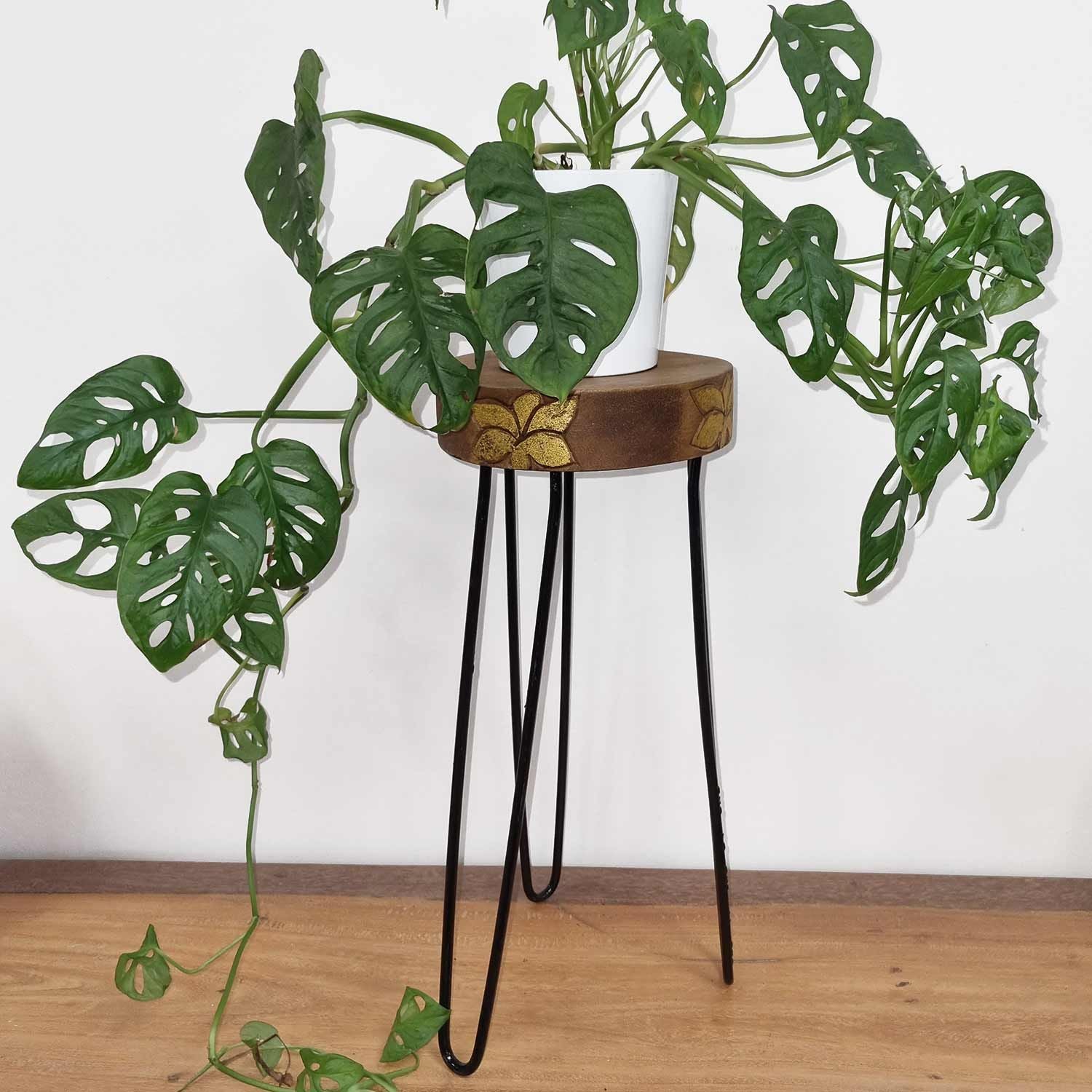 Albasia Wood Plant Stand - Natural & gold detail - Image albasia-wood-plant-stand--natural--gold-detail-hps-04