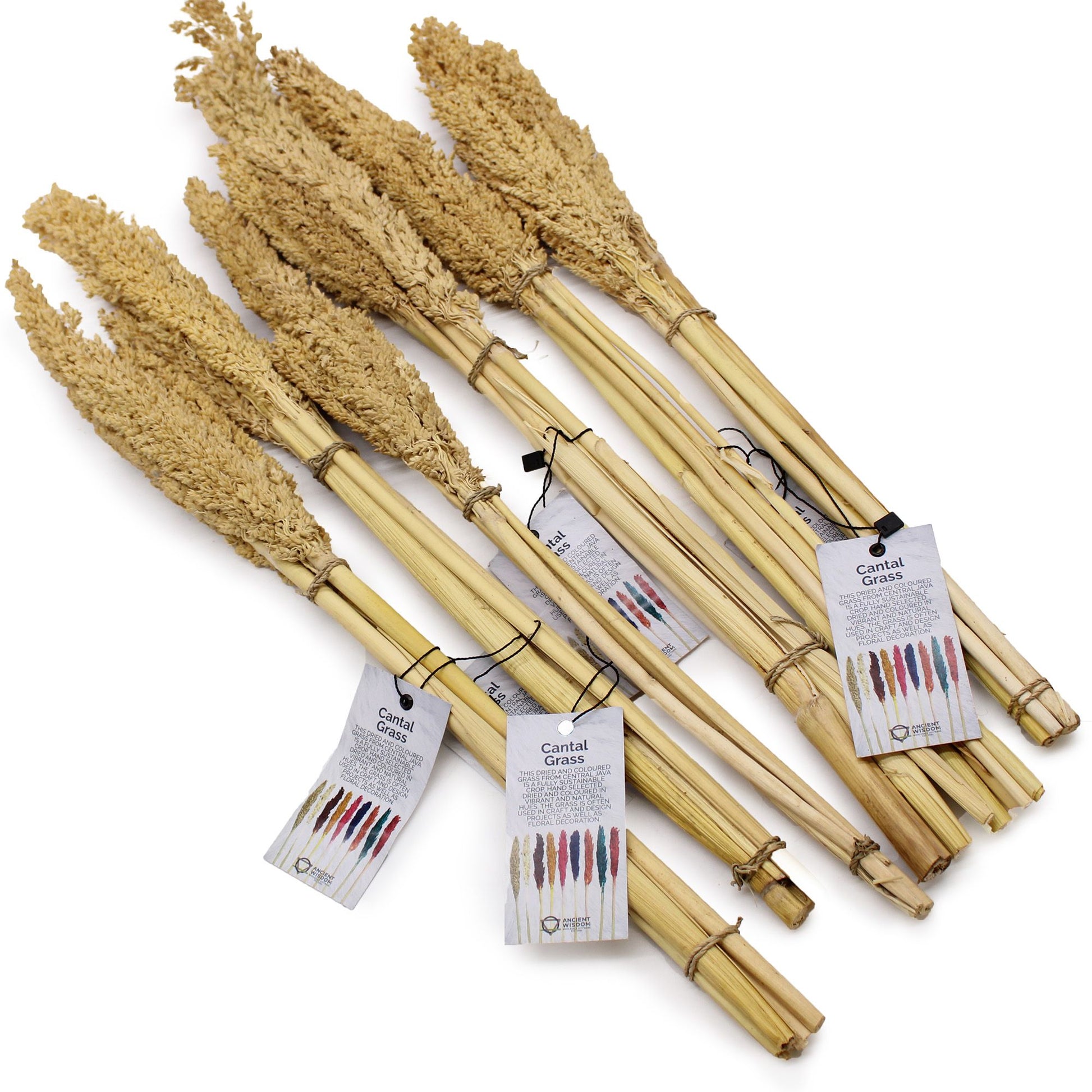 Cantal Grass Bunch - Natural - Image cantal-grass-bunch--natural-cgb-01