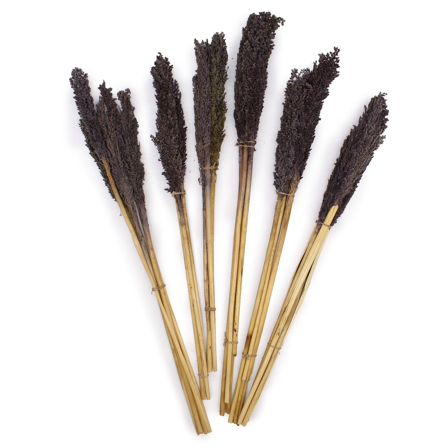 Cantal Grass Bunch - Black - Image cantal-grass-bunch--black-cgb-10