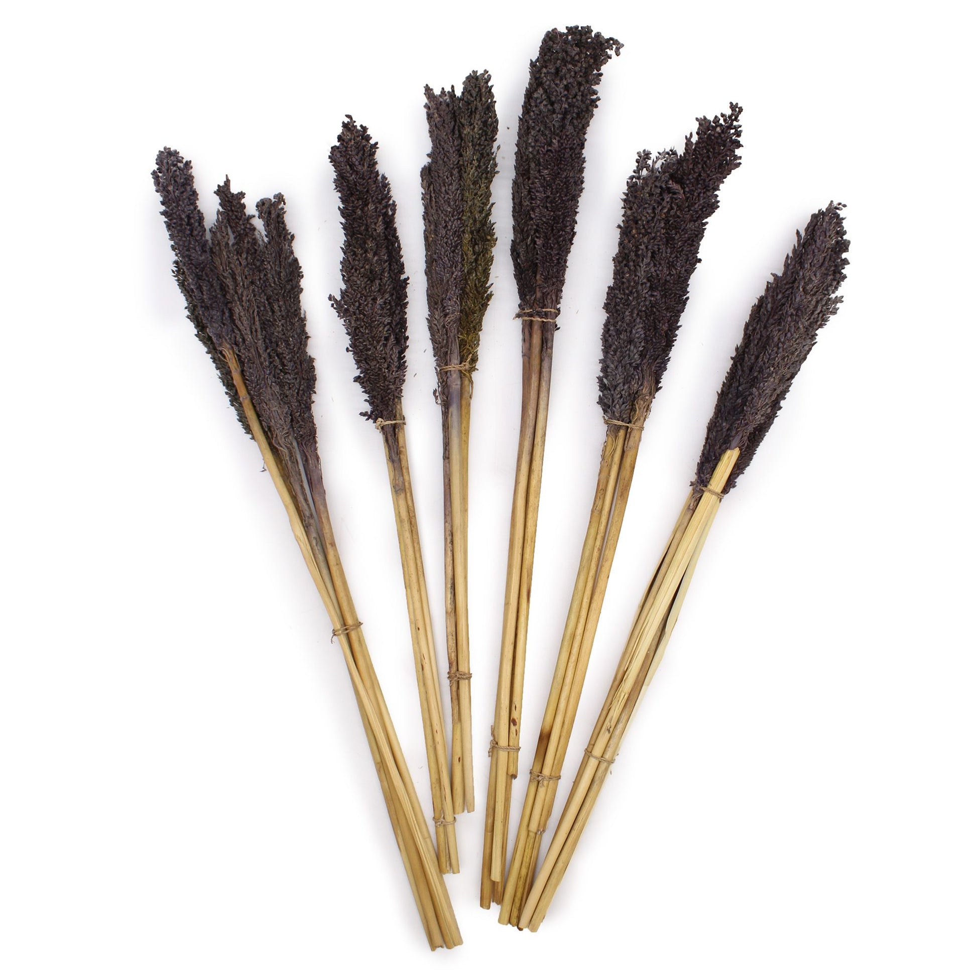 Cantal Grass Bunch - Black - Image cantal-grass-bunch--black-cgb-10
