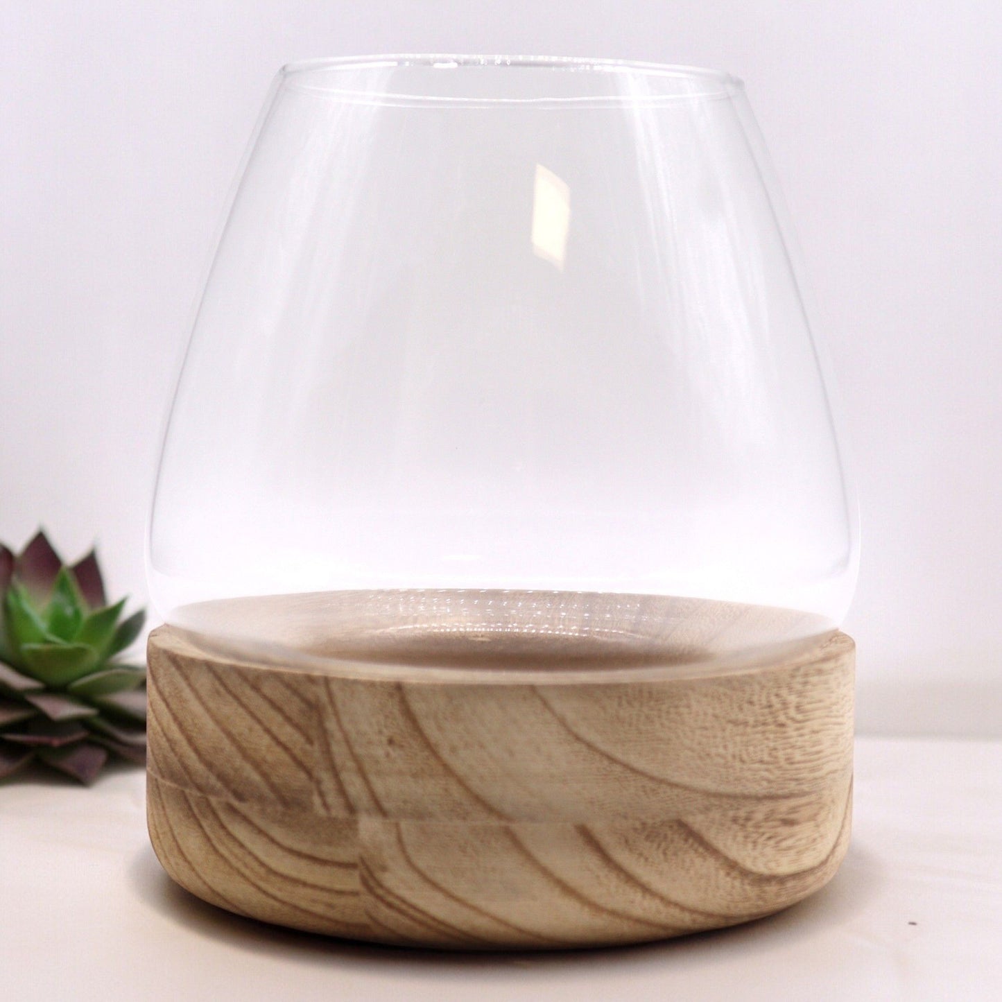 Large Terrarium on Natural Tung Wood - Image large-terrarium-on-natural-tung-wood-gter-10