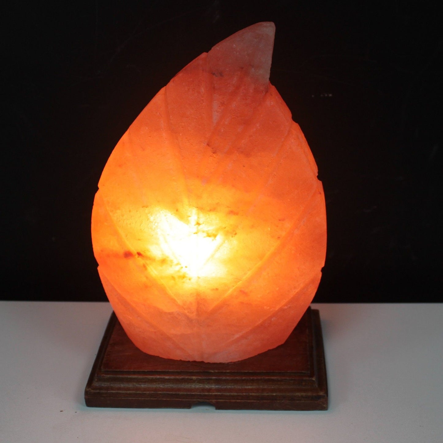 Shape Salt Lamp - Fern - Image shape-salt-lamp--fern-qsalt-61