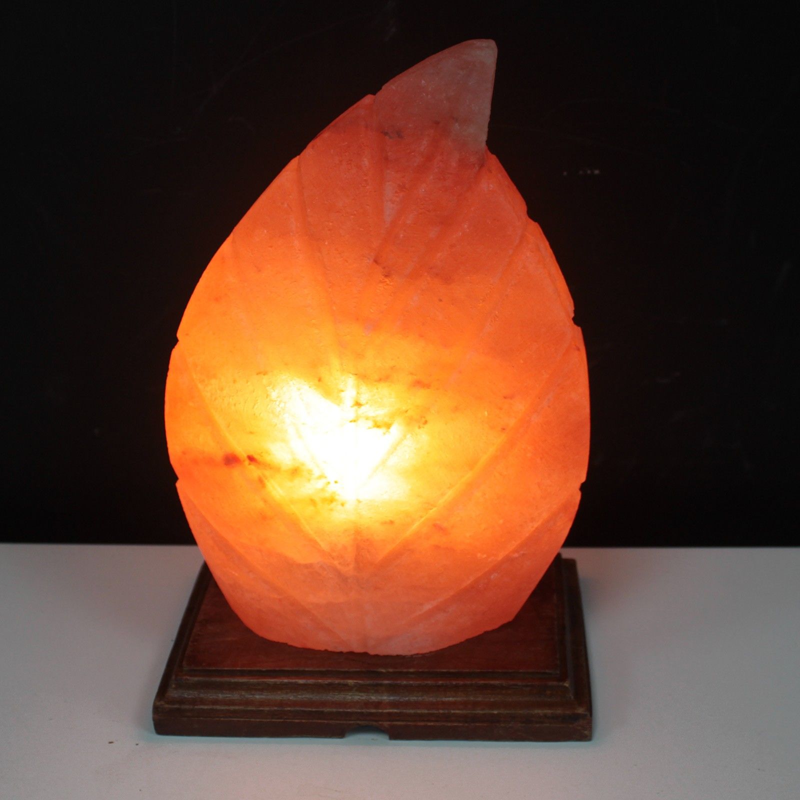 Shape Salt Lamp - Fern - Image shape-salt-lamp--fern-qsalt-61