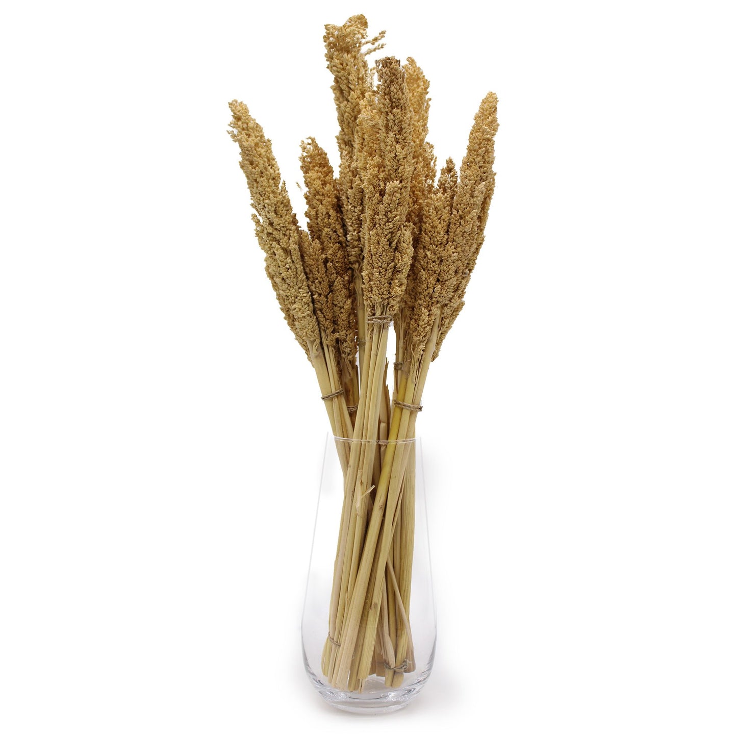 Cantal Grass Bunch - Natural - Image cantal-grass-bunch--natural-cgb-01