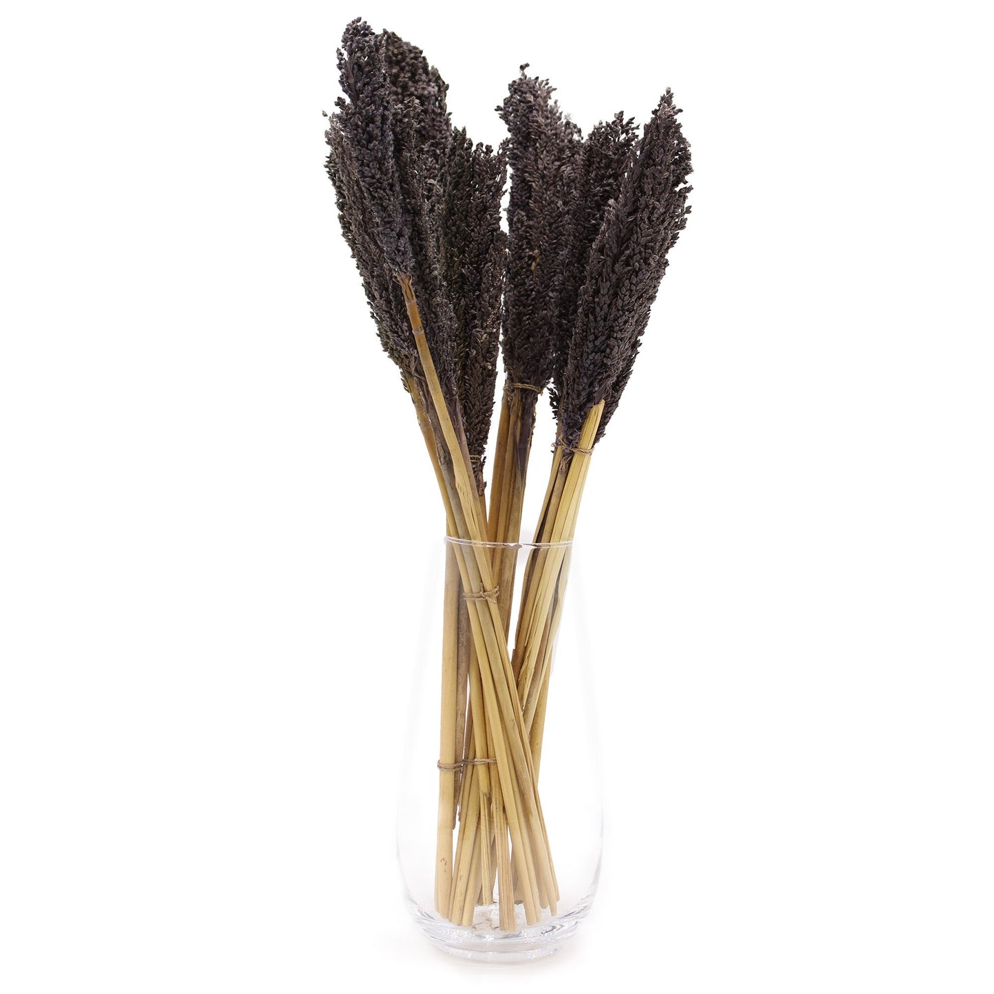 Cantal Grass Bunch - Black - Image cantal-grass-bunch--black-cgb-10