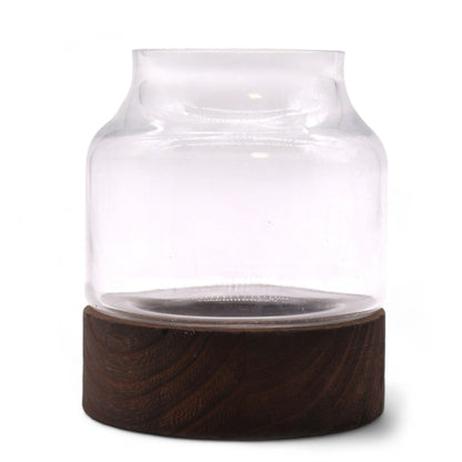 Small Shaped Terrarium on Dark Tung Wood - Image small-shaped-terrarium-on-dark-tung-wood-gter-11
