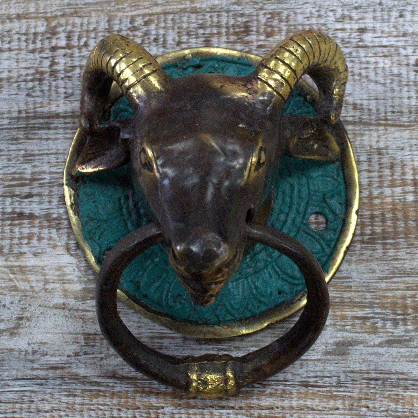 Brass Door Knocker - Rams Head - Image brass-door-knocker--rams-head-bdk-03