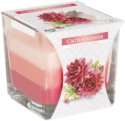 Rainbow Jar Candle - Cactus flower - Image rainbow-jar-candle--cactus-flower-rjc-03