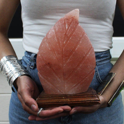 Shape Salt Lamp - Fern - Image shape-salt-lamp--fern-qsalt-61