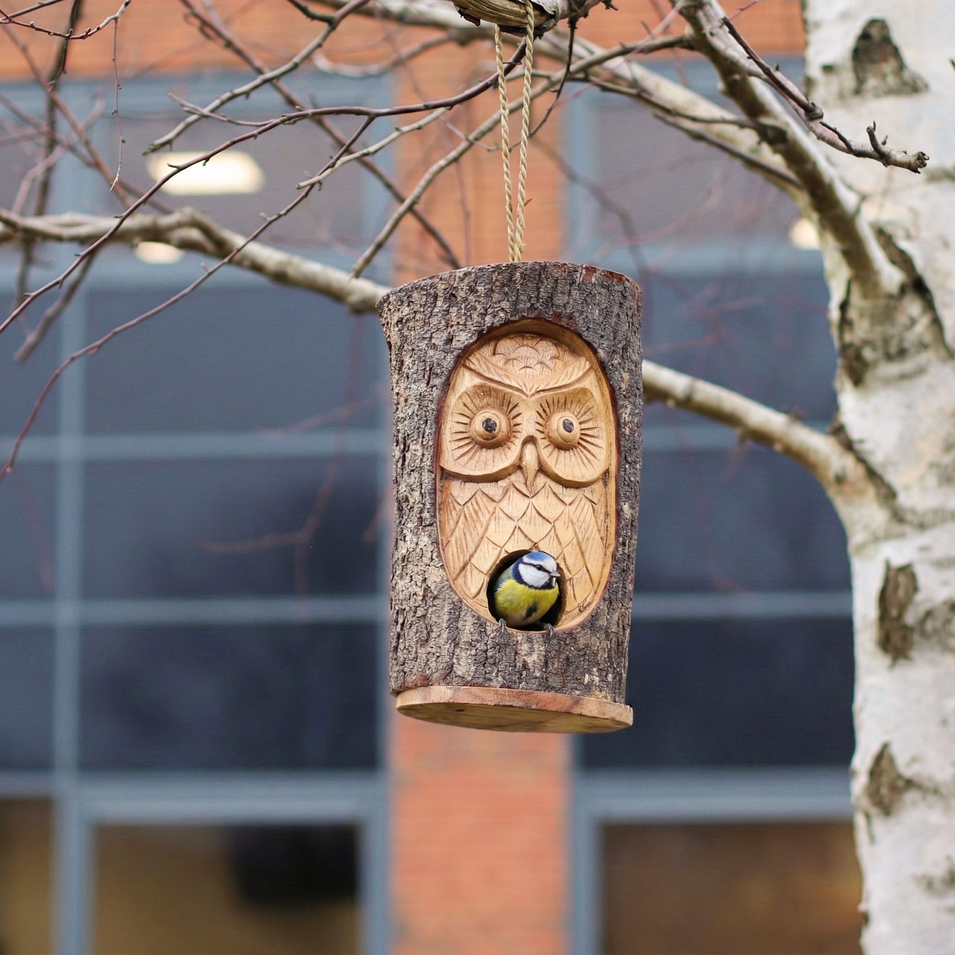 Tree Trunk Face - Bird House - Wise Owl - Image tree-trunk-face--bird-house--wise-owl-birdb-09