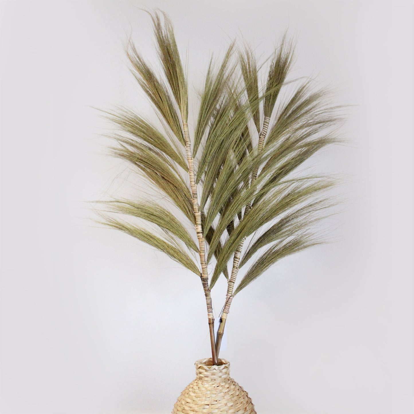 Rayung Grass Natural - 1.6m - Image rayung-grass-natural--16m-pamg-01