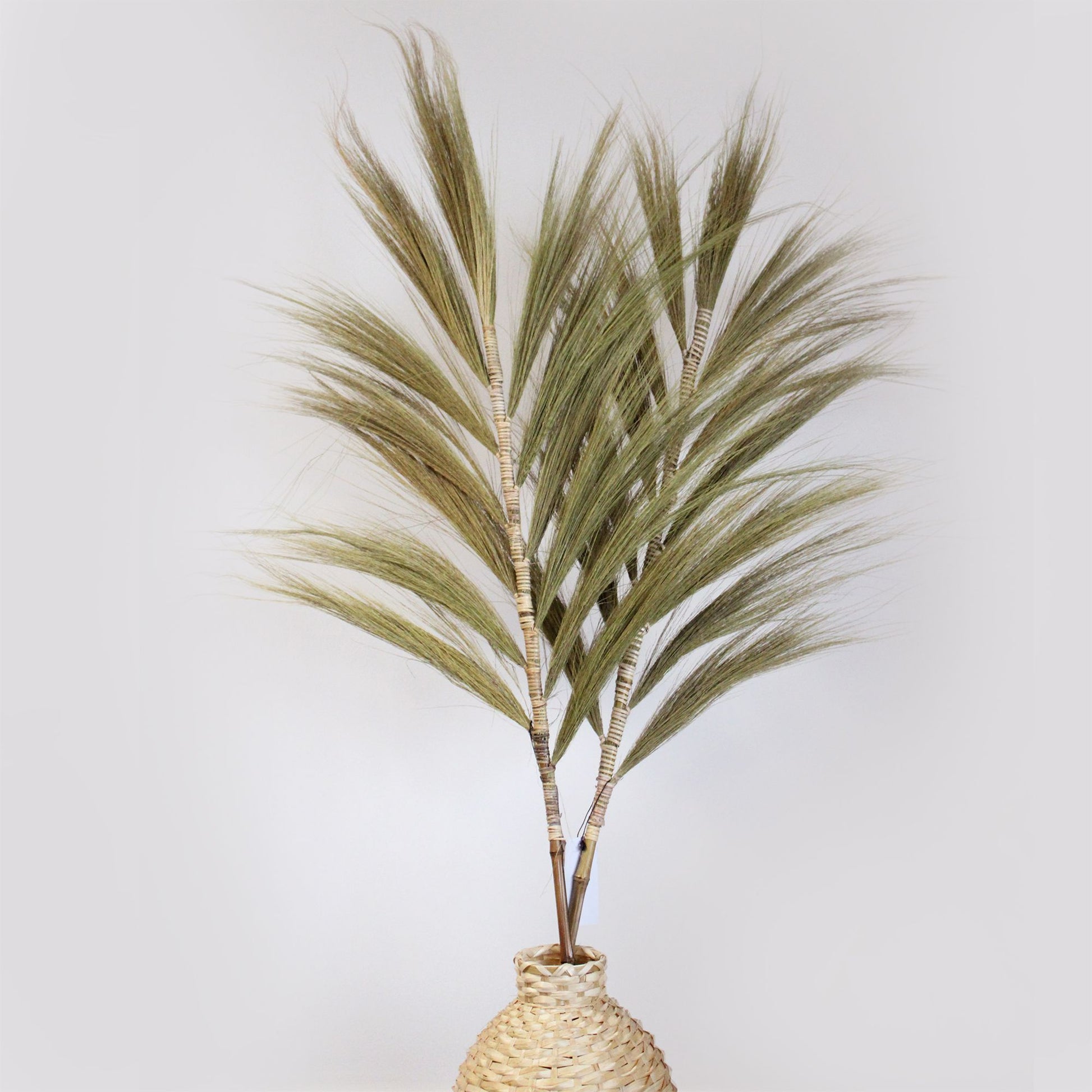 Rayung Grass Natural - 1.6m - Image rayung-grass-natural--16m-pamg-01