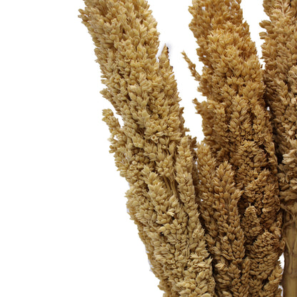 Cantal Grass Bunch - Natural - Image cantal-grass-bunch--natural-cgb-01