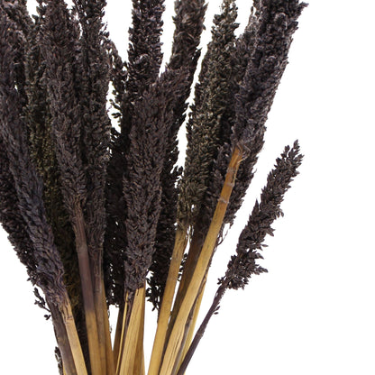 Cantal Grass Bunch - Black - Image cantal-grass-bunch--black-cgb-10
