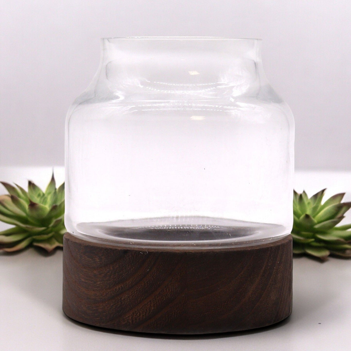 Small Shaped Terrarium on Dark Tung Wood - Image small-shaped-terrarium-on-dark-tung-wood-gter-11