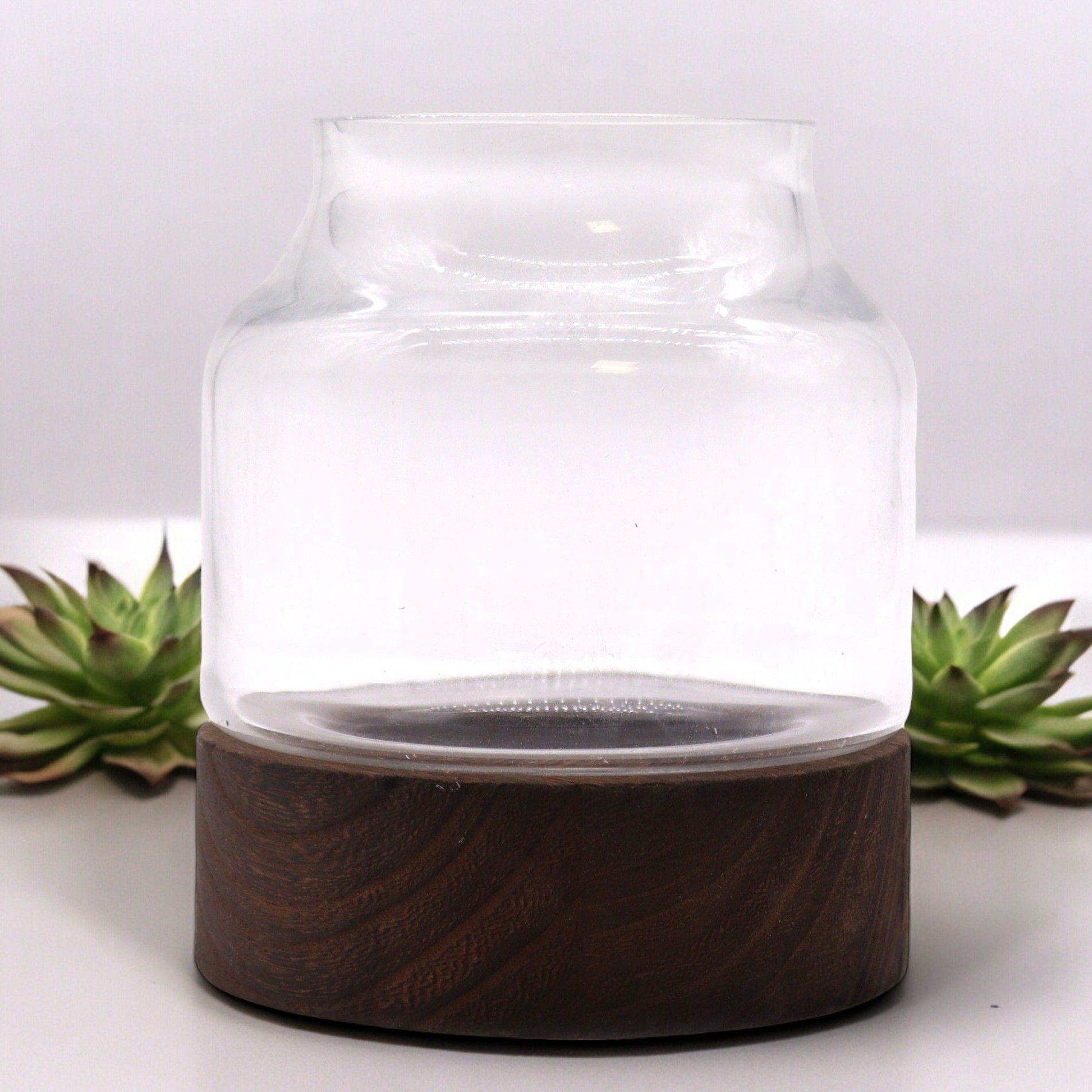 Small Shaped Terrarium on Dark Tung Wood - Image small-shaped-terrarium-on-dark-tung-wood-gter-11