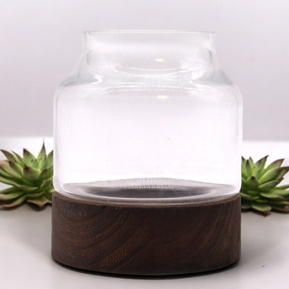 Small Shaped Terrarium on Dark Tung Wood - Image small-shaped-terrarium-on-dark-tung-wood-gter-11