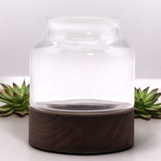 Small Shaped Terrarium on Dark Tung Wood - Image small-shaped-terrarium-on-dark-tung-wood-gter-11