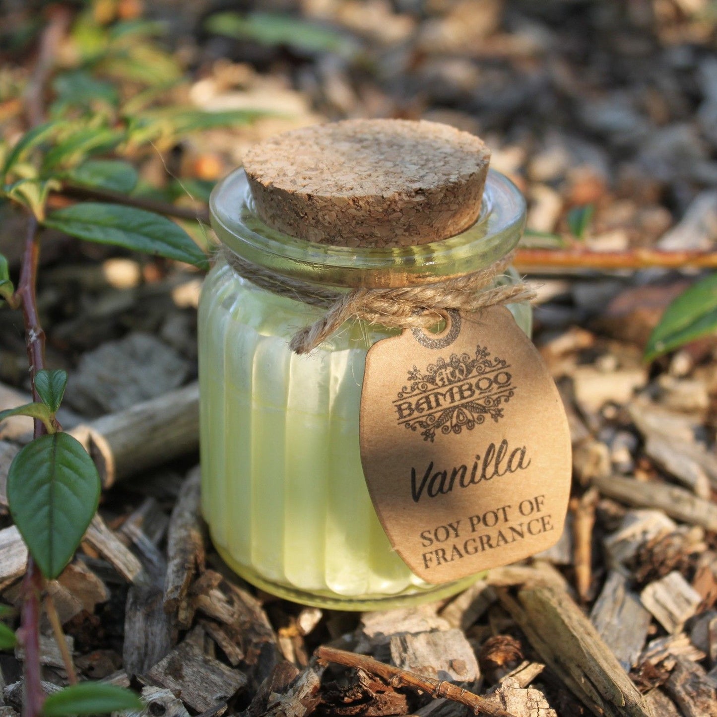 Vanilla Soy Pot of Fragrance Candles - Image vanilla-soy-pot-of-fragrance-candles-soyp-13