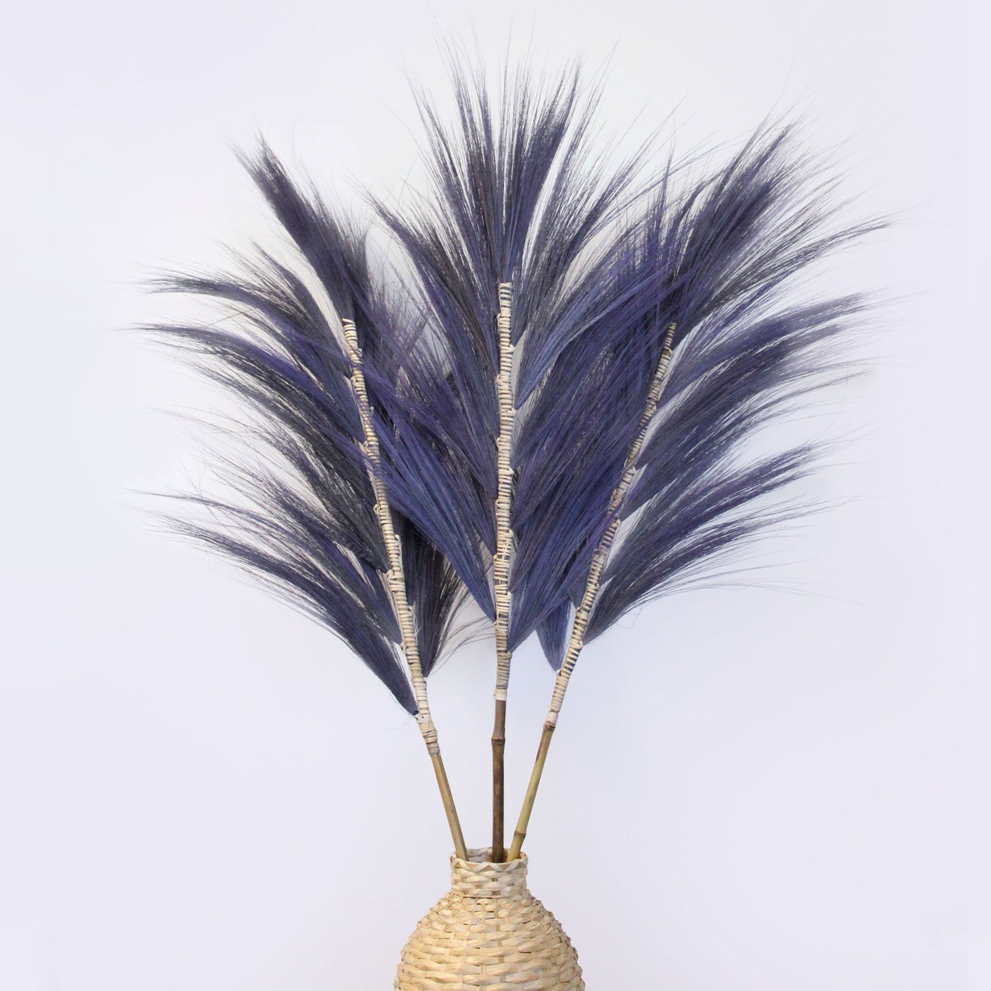Rayung Grass Lavender- 1.6m - Image rayung-grass-lavender-16m-pamg-06