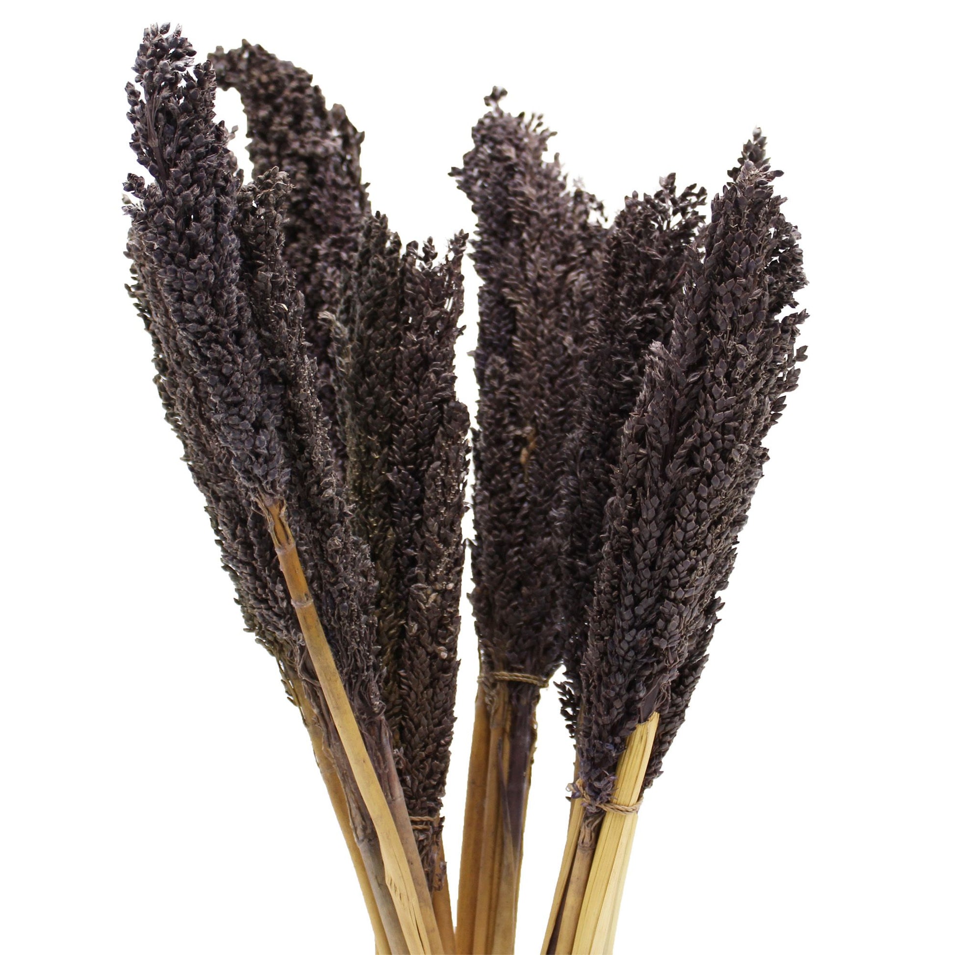 Cantal Grass Bunch - Black - Image cantal-grass-bunch--black-cgb-10