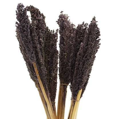 Cantal Grass Bunch - Black - Image cantal-grass-bunch--black-cgb-10