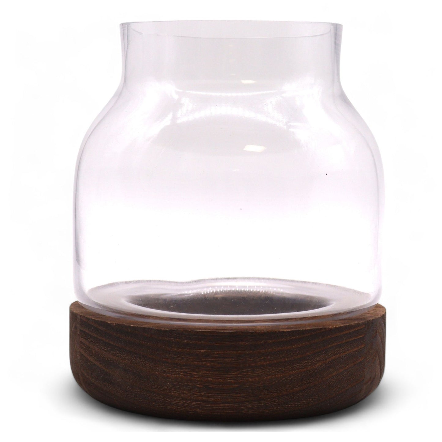 Medium Shaped Terrarium on Dark Tung Wood - Image medium-shaped-terrarium-on-dark-tung-wood-gter-12