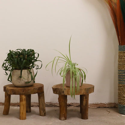 Higher Teak Pad Display - 27x20cm - Image higher-teak-pad-display--27x20cm-tds-08