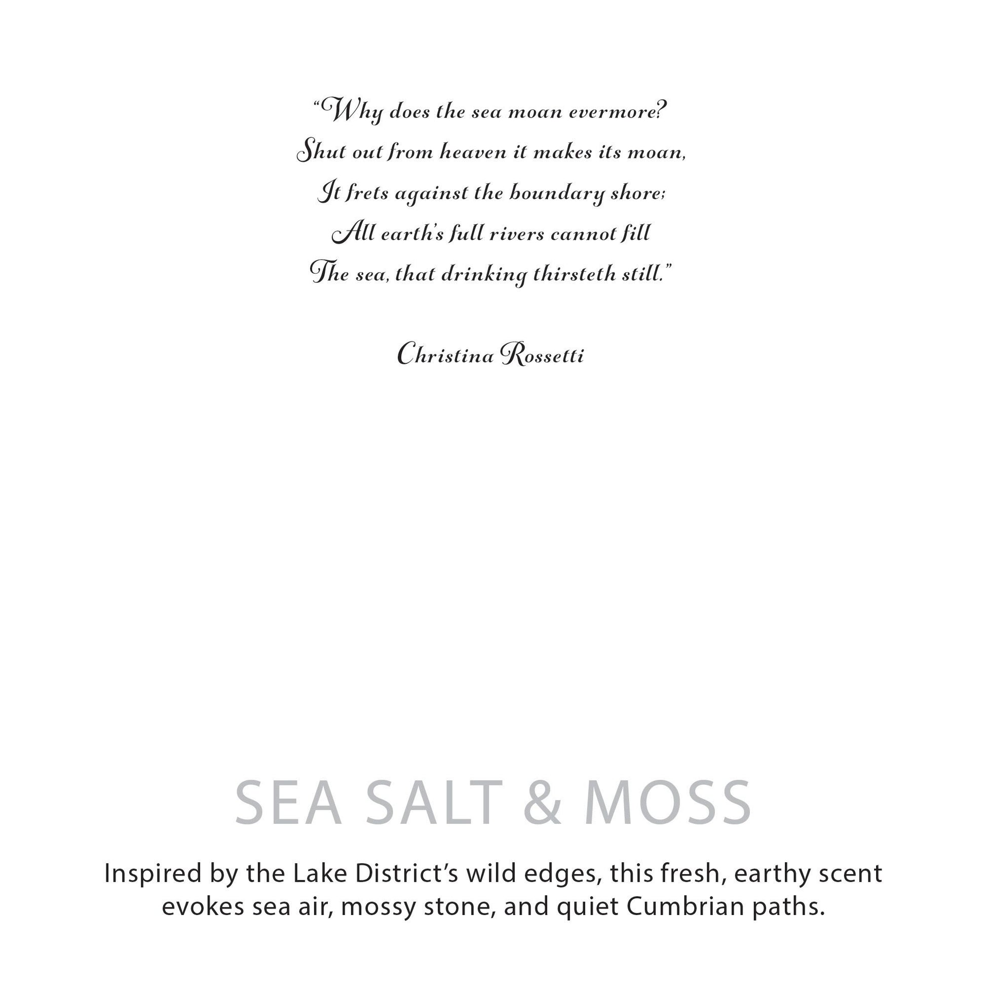 Agnes + Cat Botanical Soy Wax Candle - Seasalt & Moss - Image agnes--cat-botanical-soy-wax-candle--seasalt--moss-acbfc-06