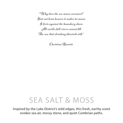 Agnes + Cat Botanical Soy Wax Candle - Seasalt & Moss - Image agnes--cat-botanical-soy-wax-candle--seasalt--moss-acbfc-06