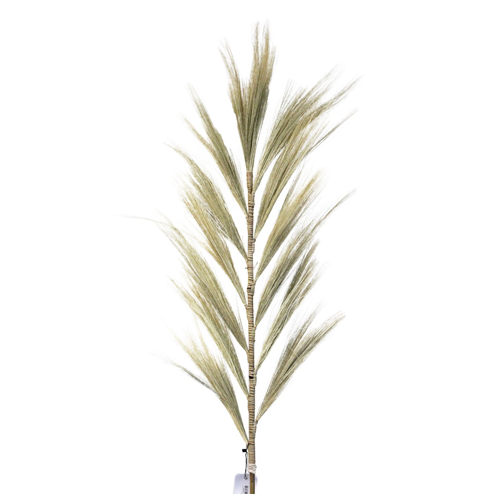 Rayung Grass Blond - 1.6m - Image rayung-grass-blond--16m-pamg-02