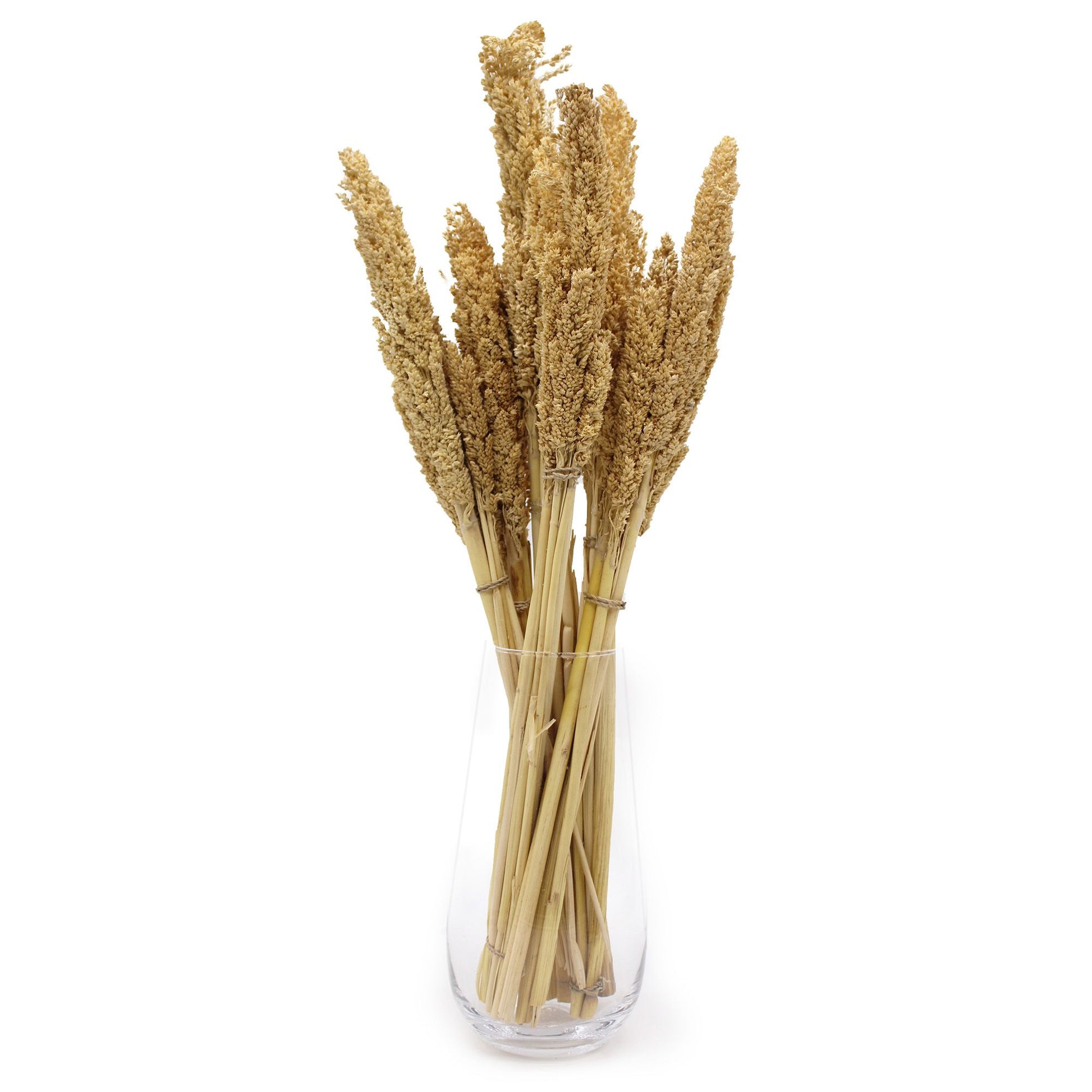Cantal Grass Bunch - Natural - Image cantal-grass-bunch--natural-cgb-01