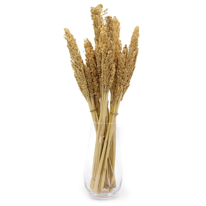Cantal Grass Bunch - Natural - Image cantal-grass-bunch--natural-cgb-01
