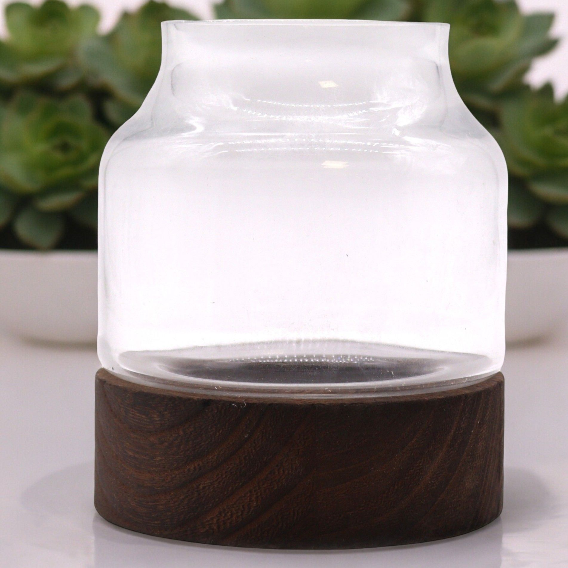 Medium Shaped Terrarium on Dark Tung Wood - Image medium-shaped-terrarium-on-dark-tung-wood-gter-12
