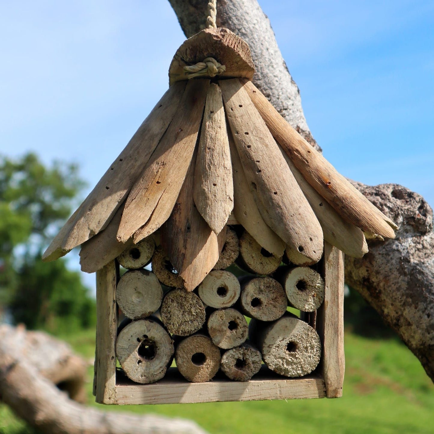 Driftwood Bee & Insect Box - Image driftwood-bee--insect-box-bbbox-05