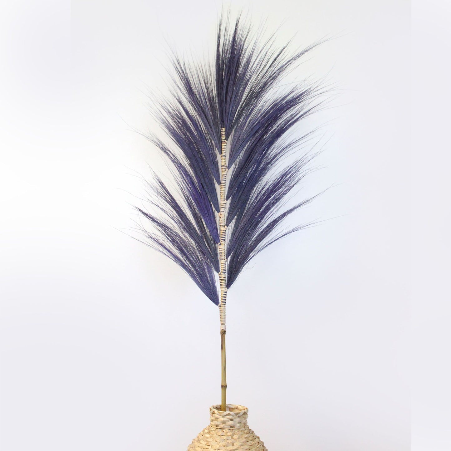 Rayung Grass Lavender- 1.6m - Image rayung-grass-lavender-16m-pamg-06