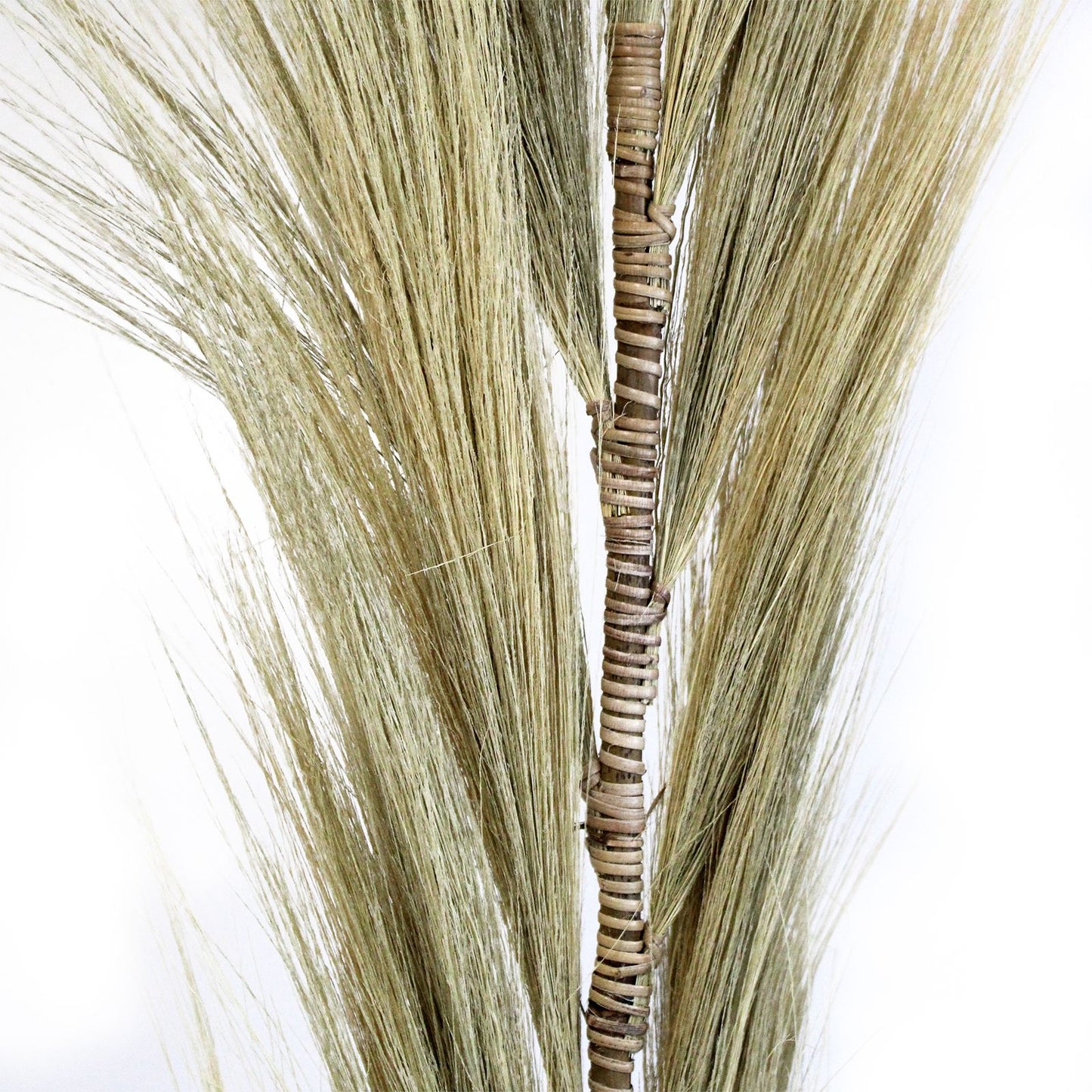 Rayung Grass Blond - 1.6m - Image rayung-grass-blond--16m-pamg-02