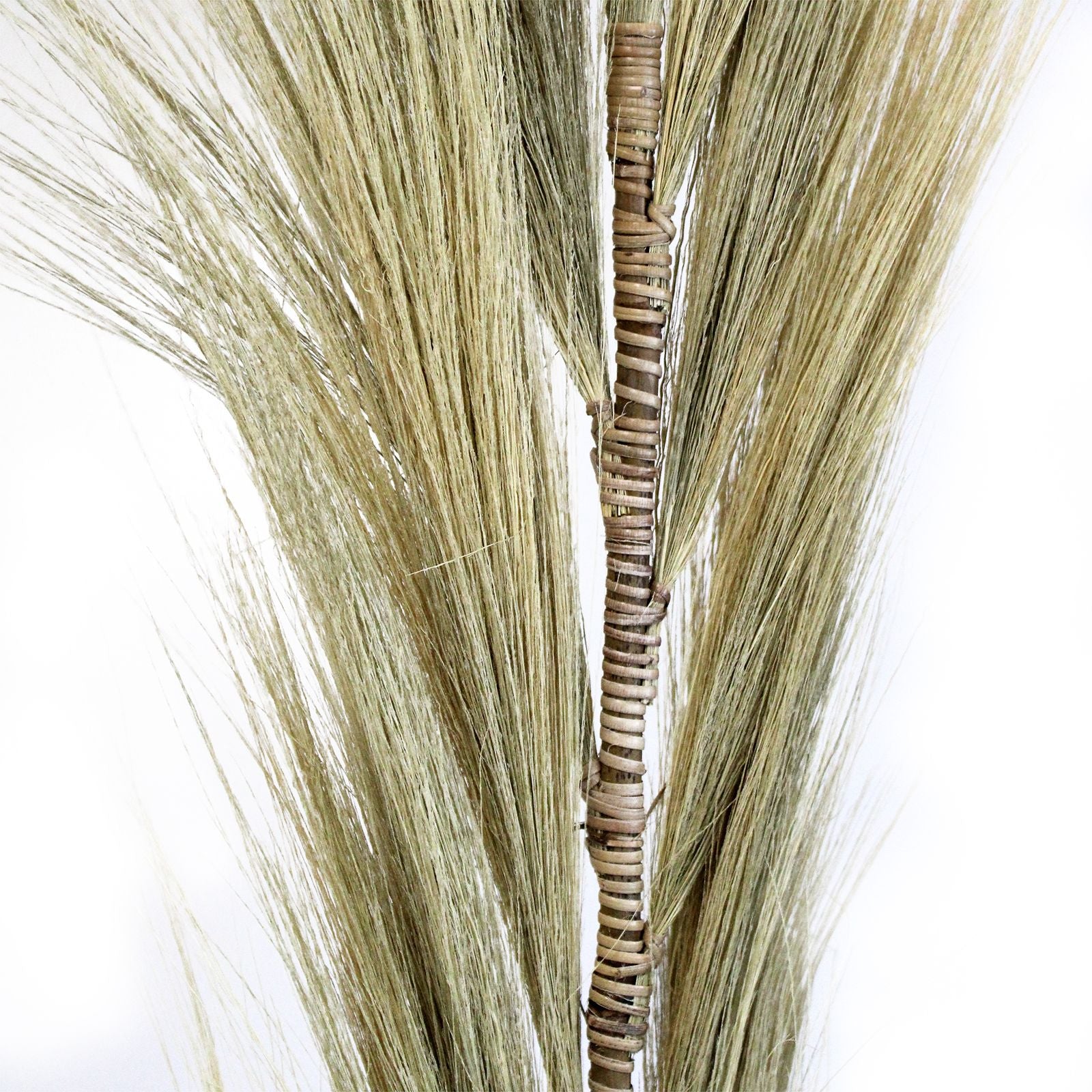 Rayung Grass Blond - 1.6m - Image rayung-grass-blond--16m-pamg-02