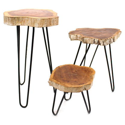 Set of 3 Gamal Wood Plant Stands - Whitewash - Image set-of-3-gamal-wood-plant-stands--whitewash-pss-01