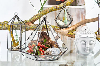 Glass Terrarium - Small Diamond - Image glass-terrarium--small-diamond-gter-01