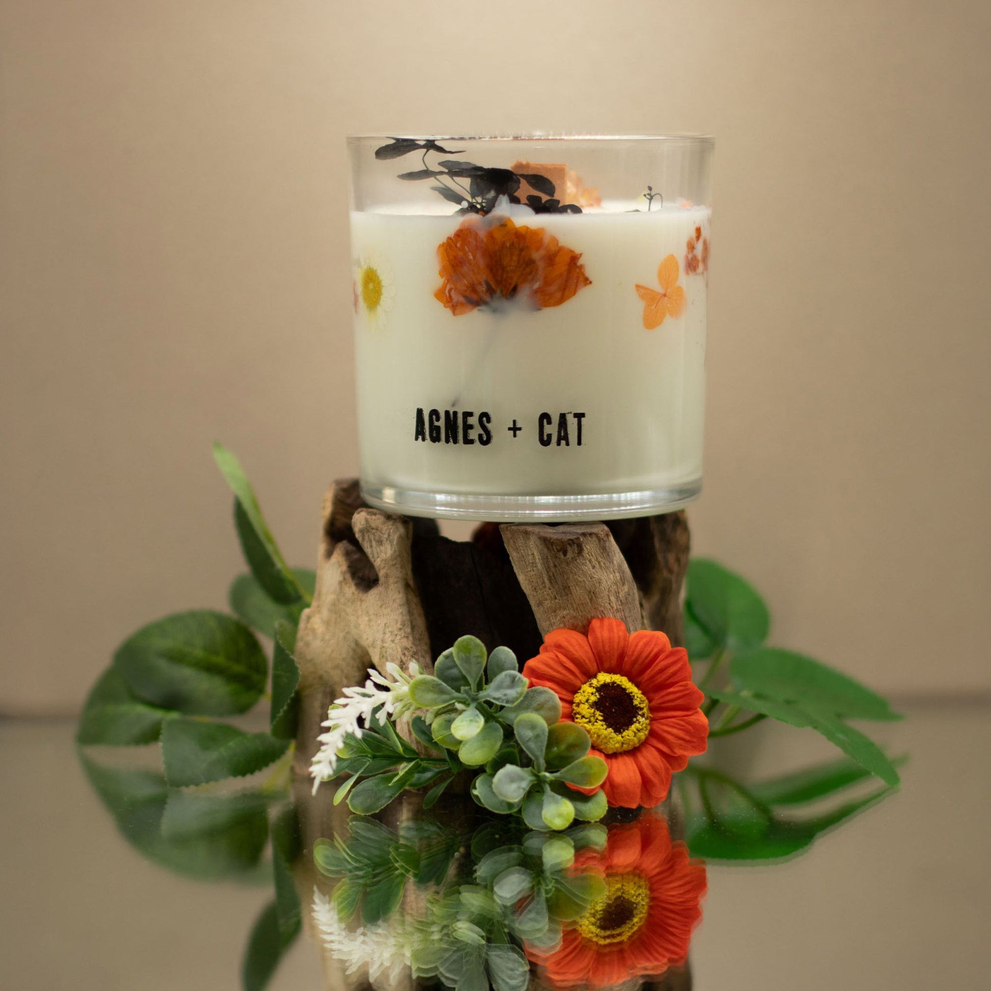 Agnes + Cat Botanical Soy Wax Candle - Lakeland Mocha - Image agnes--cat-botanical-soy-wax-candle--lakeland-mocha-acbfc-07