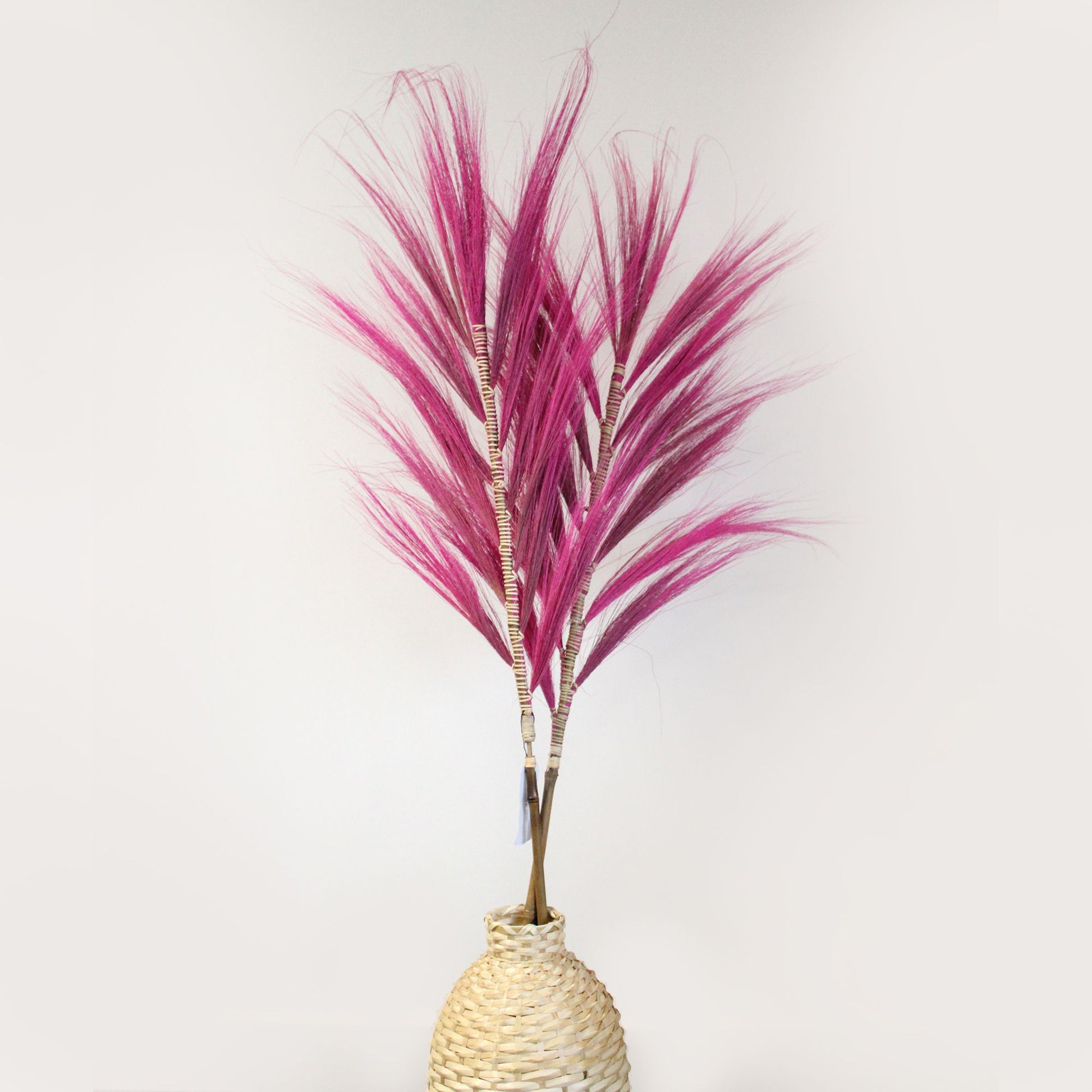Rayung Grass Pink- 1.6m - Image rayung-grass-pink-16m-pamg-05