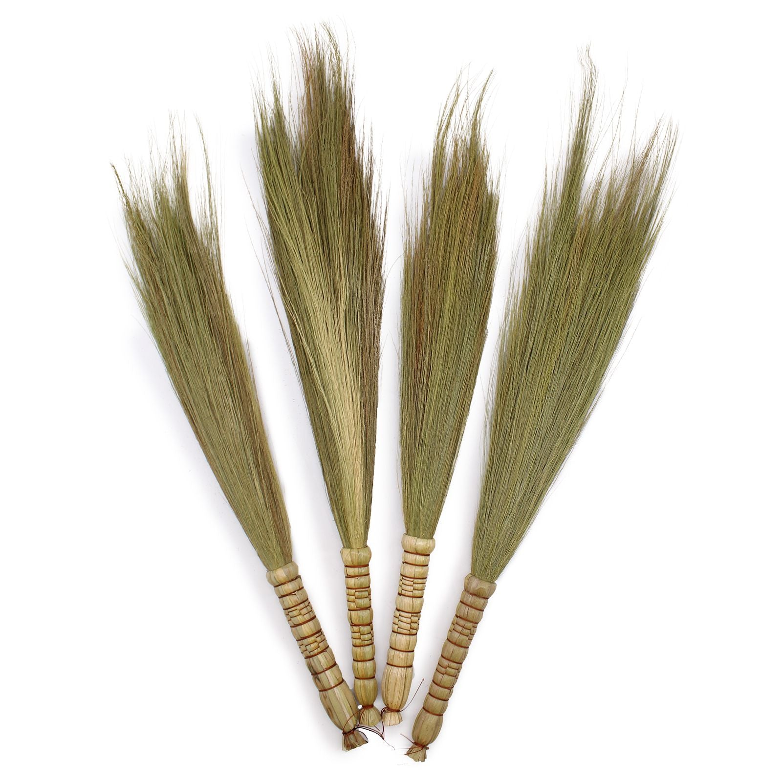 Set 4 - Pampas Broom - Natural - Image set-4--pampas-broom--natural-npb-03
