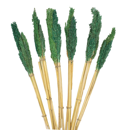 Cantal Grass Bunch - Teal - Image cantal-grass-bunch--teal-cgb-08