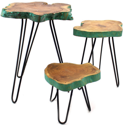 Set of 3 Gamal Wood Plant Stands - Greenwash - Image set-of-3-gamal-wood-plant-stands--greenwash-pss-02