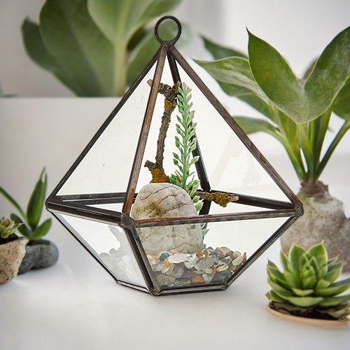 Glass Terrarium - Small Diamond - Image glass-terrarium--small-diamond-gter-01