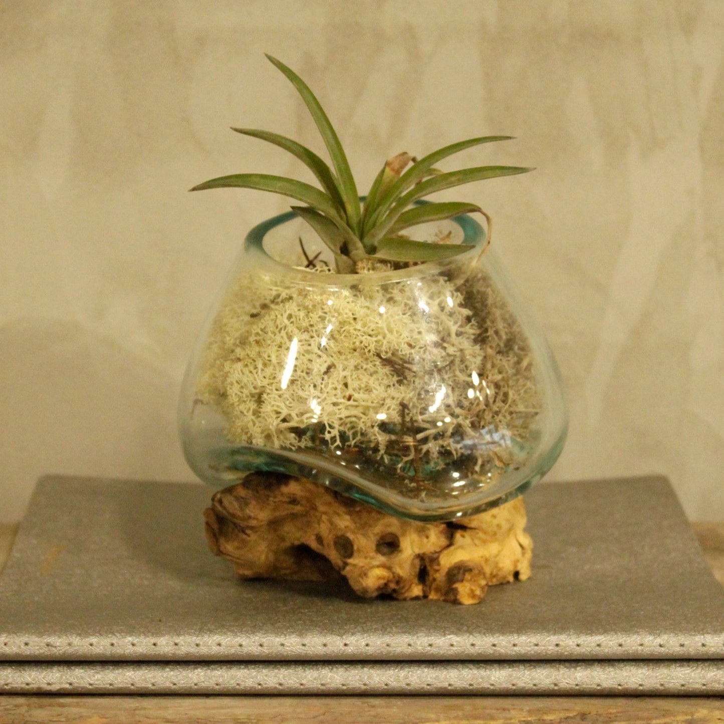 Molten Glass on Wood - Small Bowl - Image molten-glass-on-wood--small-bowl-mgw-01