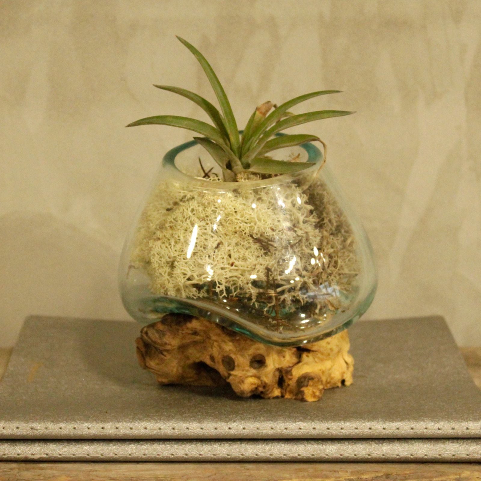 Molten Glass on Wood - Small Bowl - Image molten-glass-on-wood--small-bowl-mgw-01