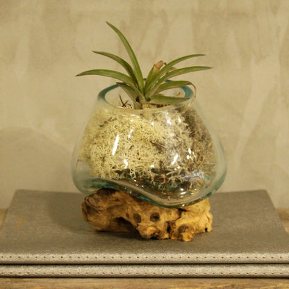 Molten Glass on Wood - Small Bowl - Image molten-glass-on-wood--small-bowl-mgw-01